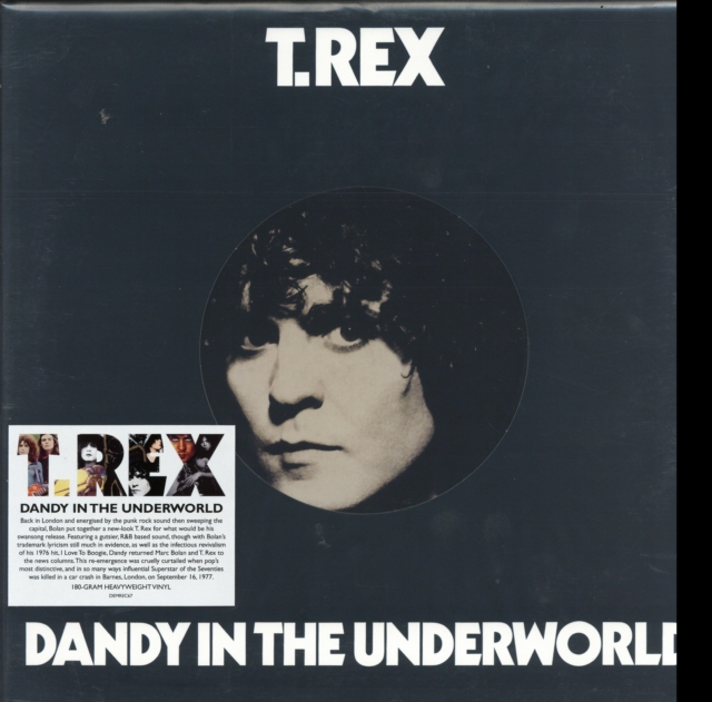 Dandy in the Underworld, Vinyl / 12" Album Vinyl