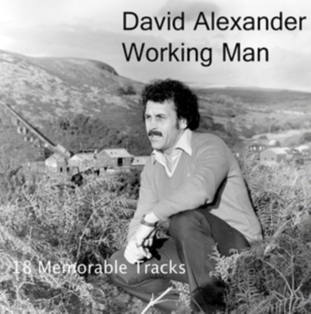 Working Man (Collector's Edition), CD / Album (Jewel Case) Cd