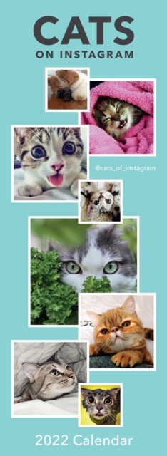 Cats on Instagram Slim Calendar 2022, Calendar Book