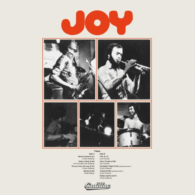 Joy, Vinyl / 12" Album Vinyl