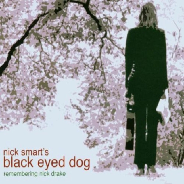 Remembering Nick Drake, CD / Album Cd