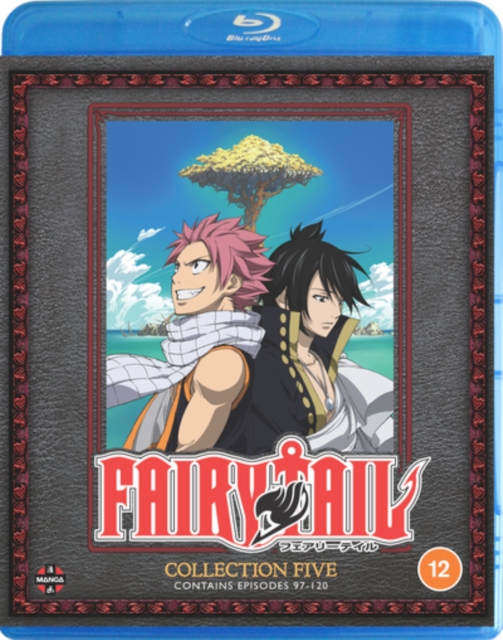 Fairy Tail: Collection 5, Blu-ray BluRay