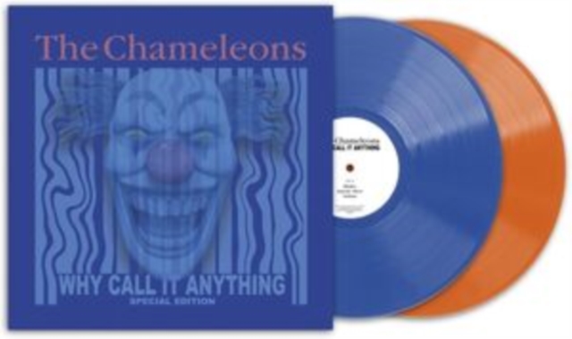 What Does Anything Mean? Basically, Vinyl / 12" Album Coloured Vinyl Vinyl