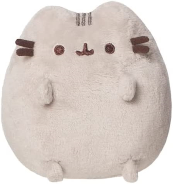 Pusheen small shop