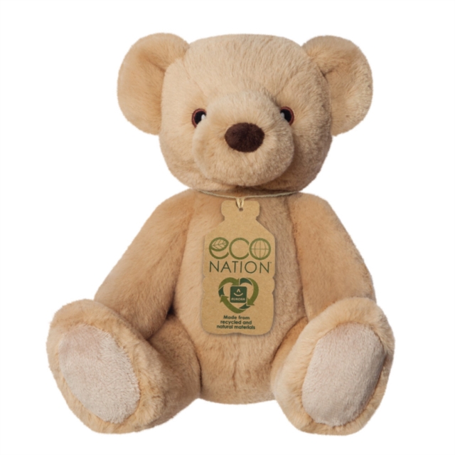 Eco Nation Teddy Bear, Paperback Book