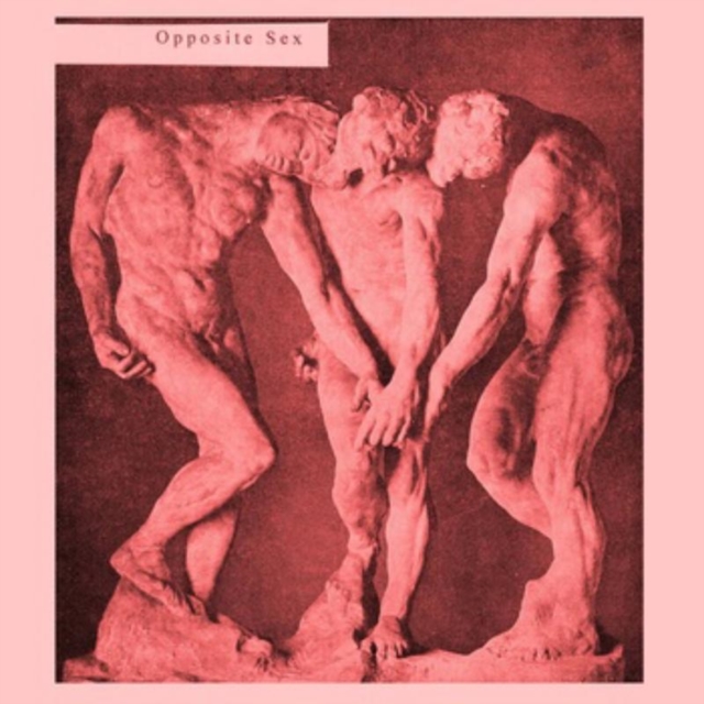 Opposite Sex, CD / Album Cd