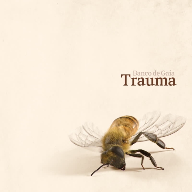 Trauma, Vinyl / 12" Album Vinyl