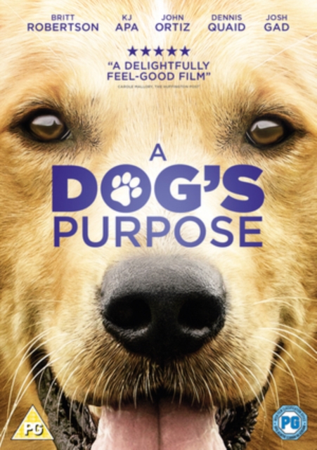 A   Dog's Purpose, DVD DVD