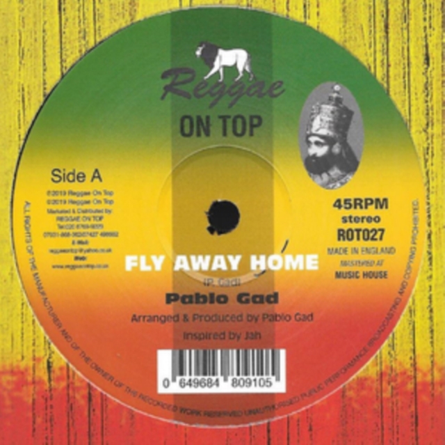 Fly Away Home, Vinyl / 12" Single Vinyl