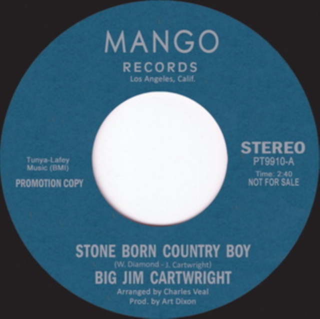 Stone Born Country Boy, Vinyl / 7" Single Vinyl