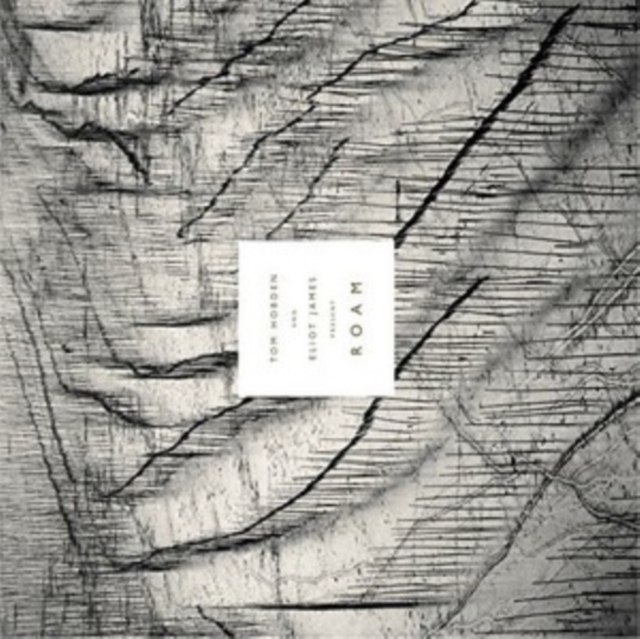 Tom Hobden & Eliot James Present: Roam, Vinyl / 12" Album Vinyl