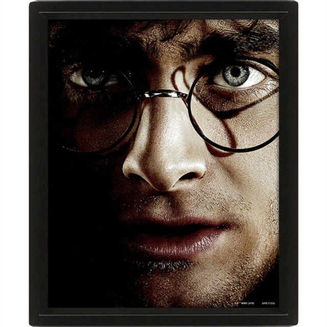 Harry Potter (Harry Vs Voldemort) - Framed, Paperback Book