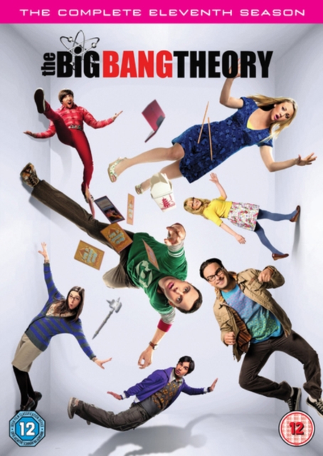 The Big Bang Theory: The Complete Eleventh Season, DVD DVD