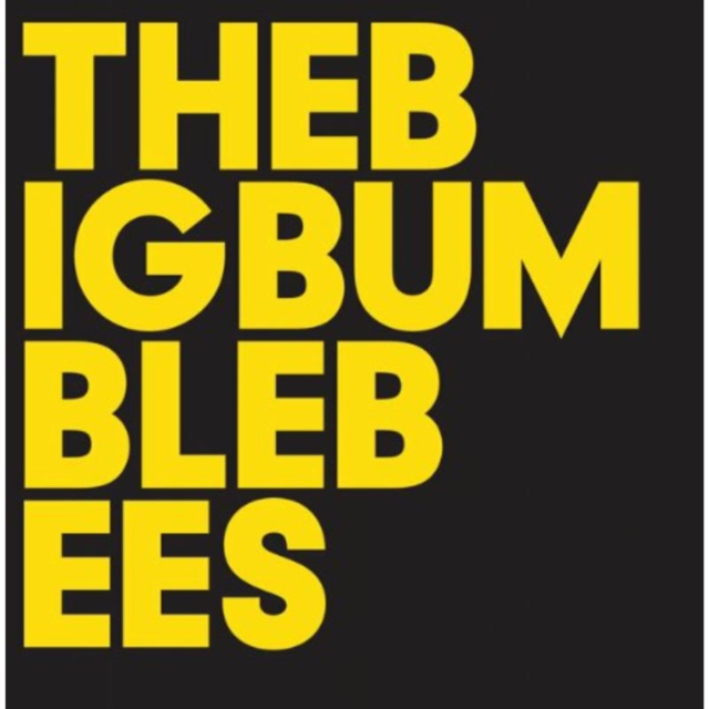 The Big Bumble Bees, Vinyl / 12" Album Vinyl
