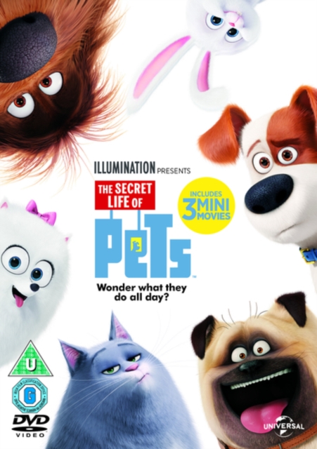 The Secret Life of Pets, DVD DVD