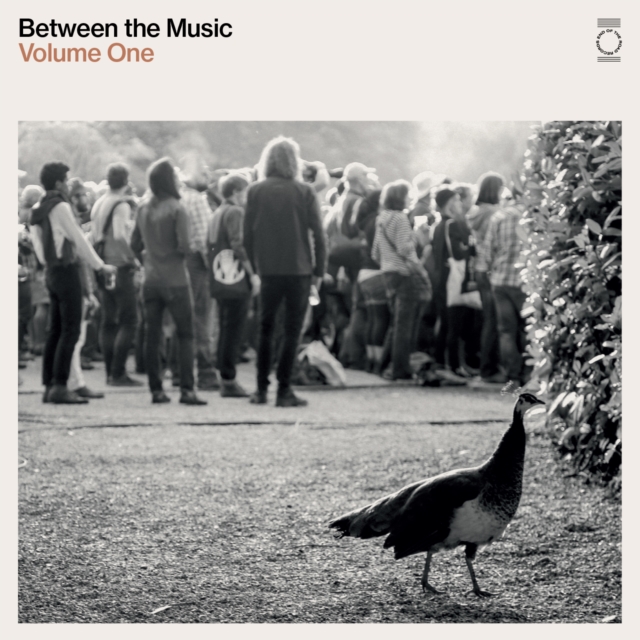 Between the Music, Vinyl / 12" Album Vinyl