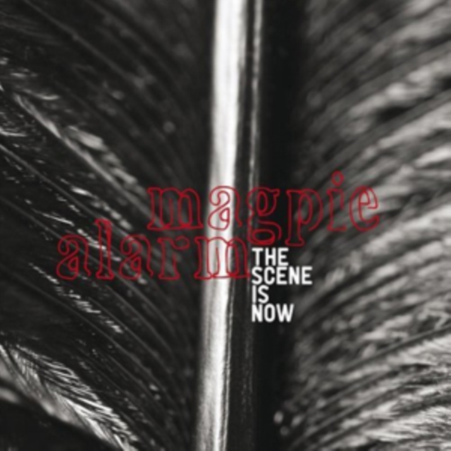 Magpie Alarm, CD / Album Cd