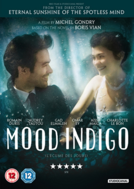 Mood Indigo, DVD  DVD
