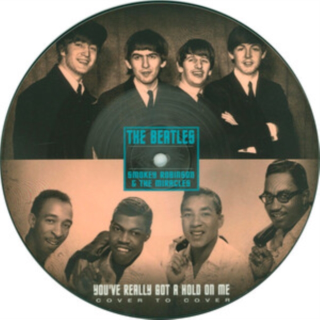 You've really got a hold on me, Vinyl / 7" Single Picture Disc Vinyl