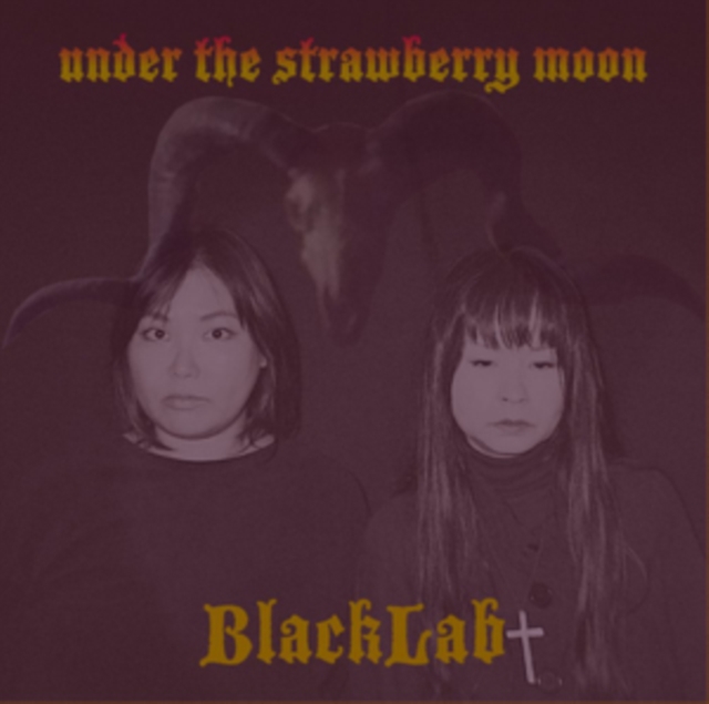 Under the Strawberry Moon, Vinyl / 12" Album Vinyl