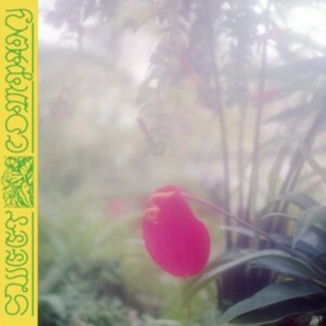 Sweet Company, CD / Album Cd