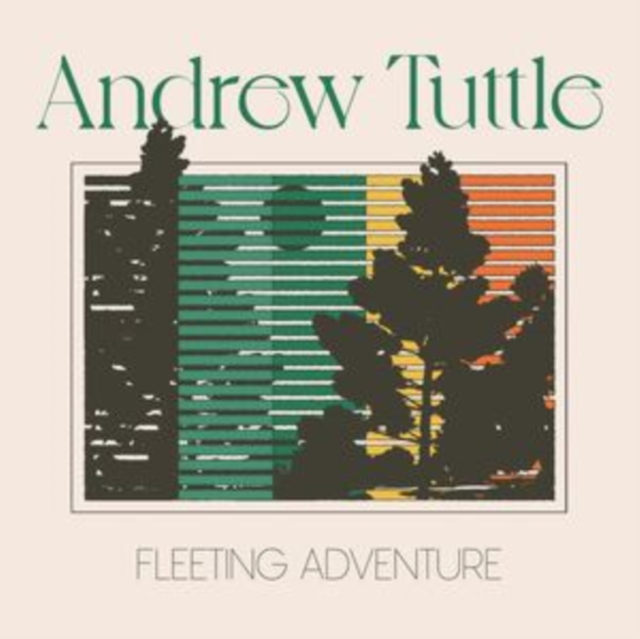 Fleeting Adventure, Vinyl / 12" Album Vinyl