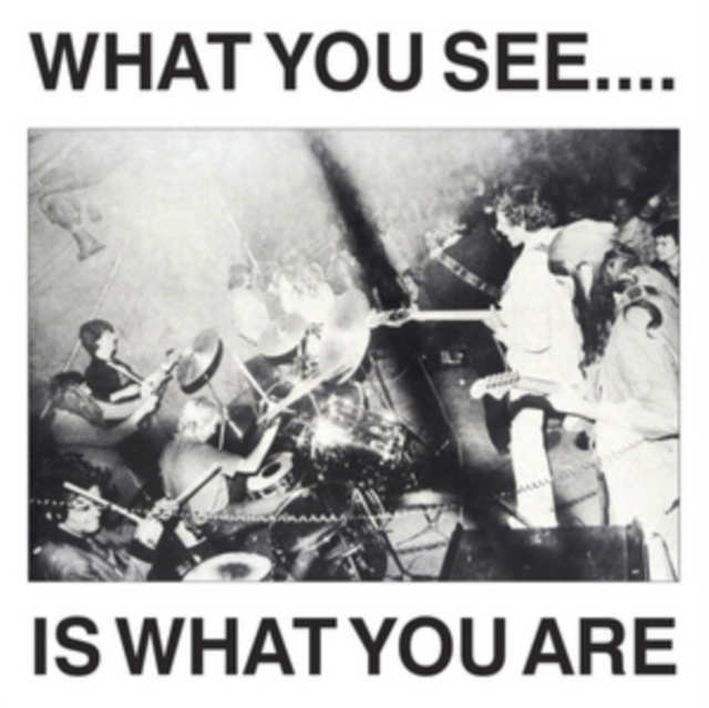 What You See Is What You Are, CD / Album Cd