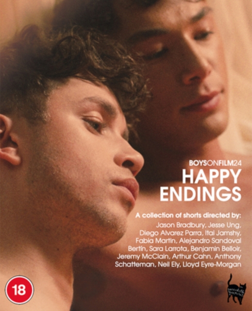 Boys On Film 24 - Happy Endings, Blu-ray BluRay