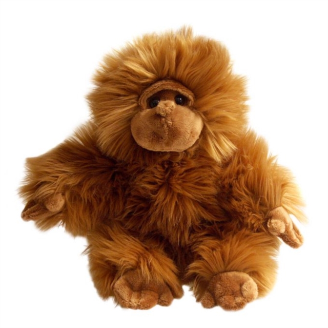 Orangutan Soft Toy, Paperback Book