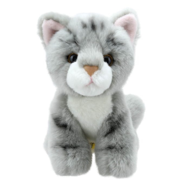 Cat (Grey) Soft Toy, Paperback Book