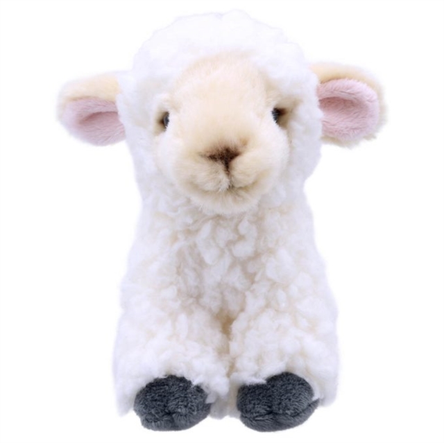 Lamb Soft Toy, Paperback Book