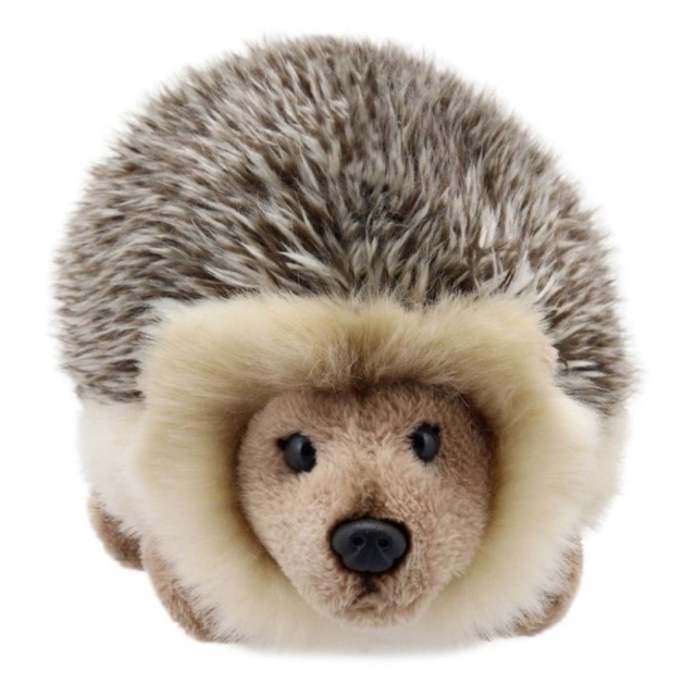 Hedgehog Soft Toy, Paperback Book