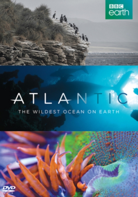 Atlantic - The Wildest Ocean On Earth, DVD  DVD