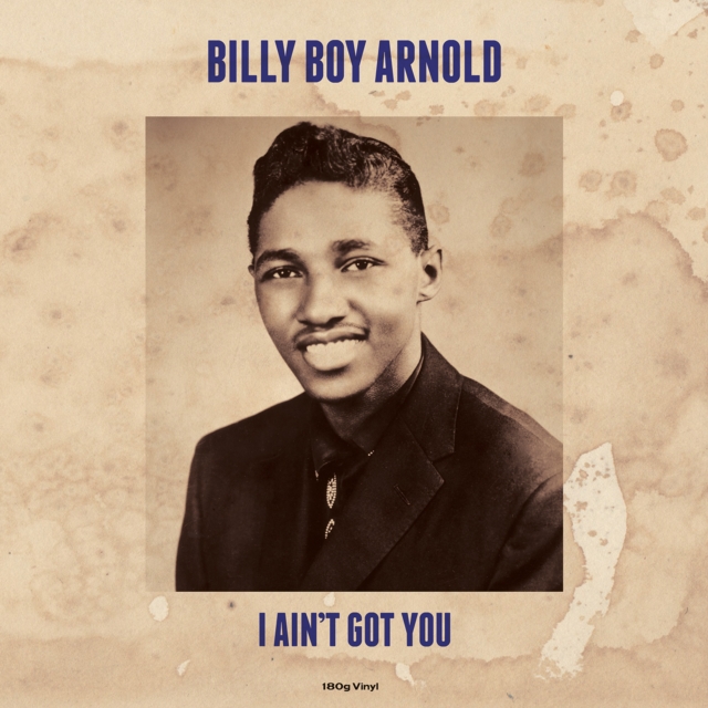 I Ain't Got You, Vinyl / 12" Album Vinyl