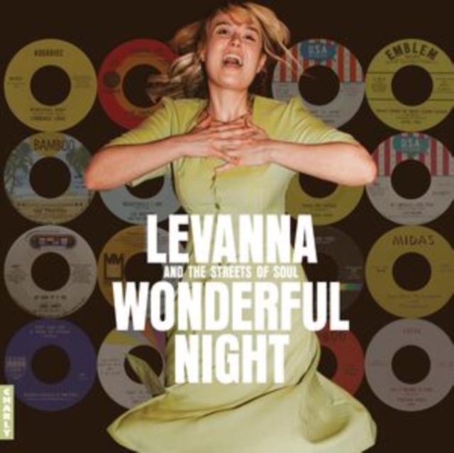 Wonderful Night: Curated By Levanna, Vinyl / 12" Album Vinyl