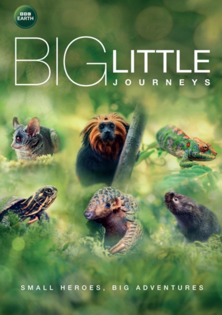 Big Little Journeys, DVD DVD