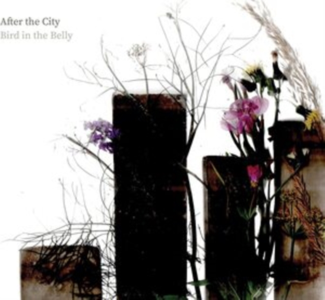 After the City, CD / Album Cd