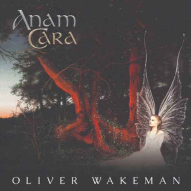 Anam Cara, CD / Album Cd