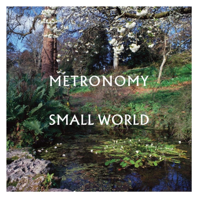Small World, Vinyl / 12" Album Vinyl