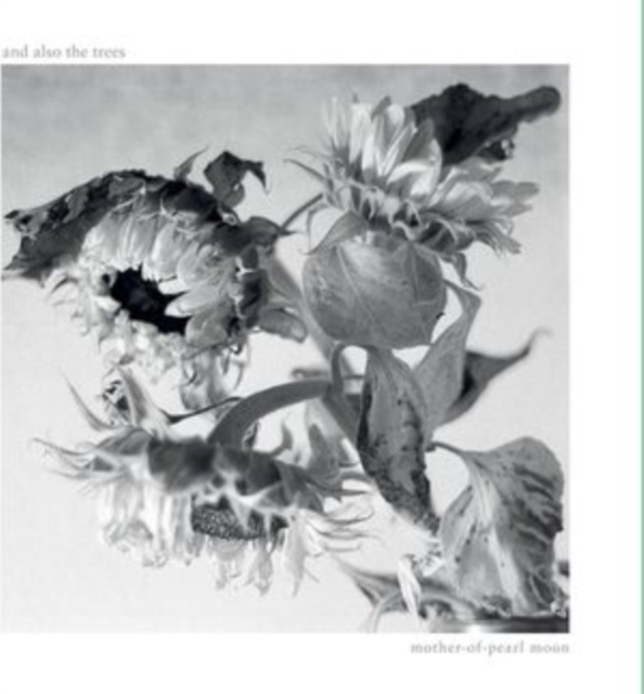 Mother-of-pearl Moon, CD / Album Cd