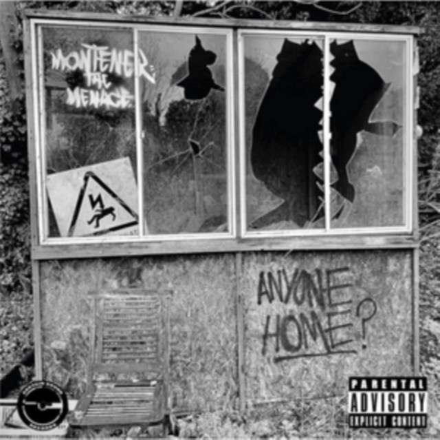 Anyone Home?, Vinyl / 12" Album Vinyl