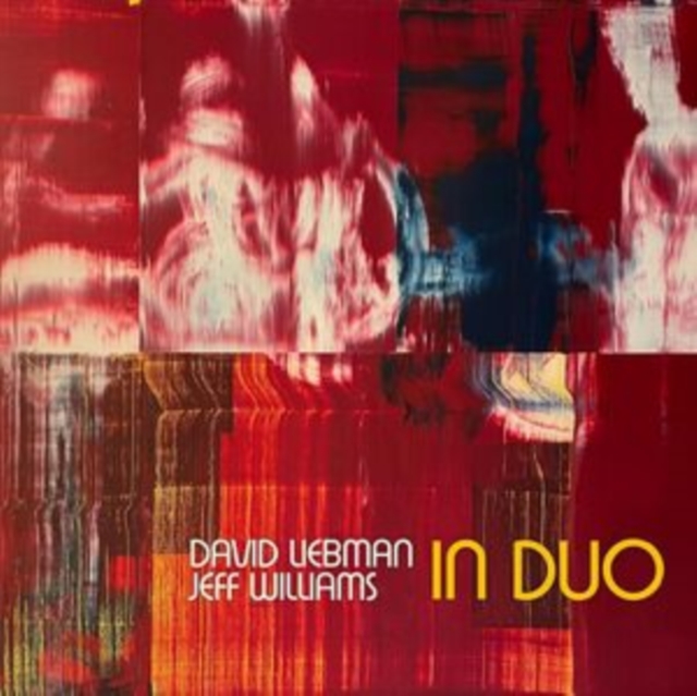 In Duo, Vinyl / 12" Album Vinyl