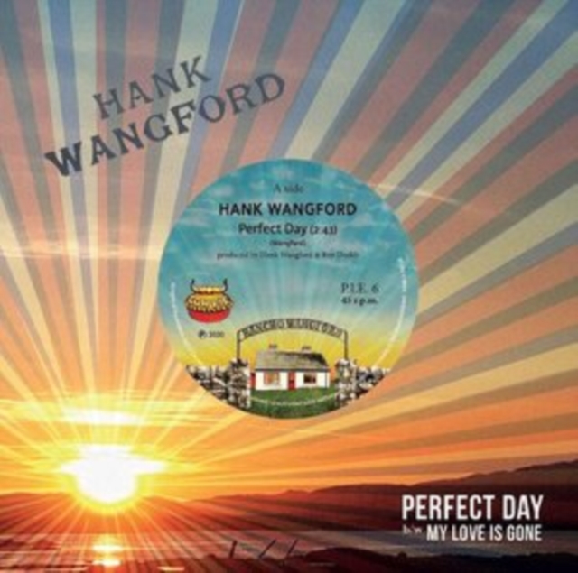 Perfect Day (Limited Edition), Vinyl / 7" Single Vinyl