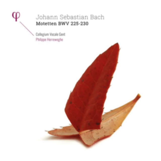 Johann Sebastian Bach: Motetten, BWV 225-230, Vinyl / 12" Album Vinyl