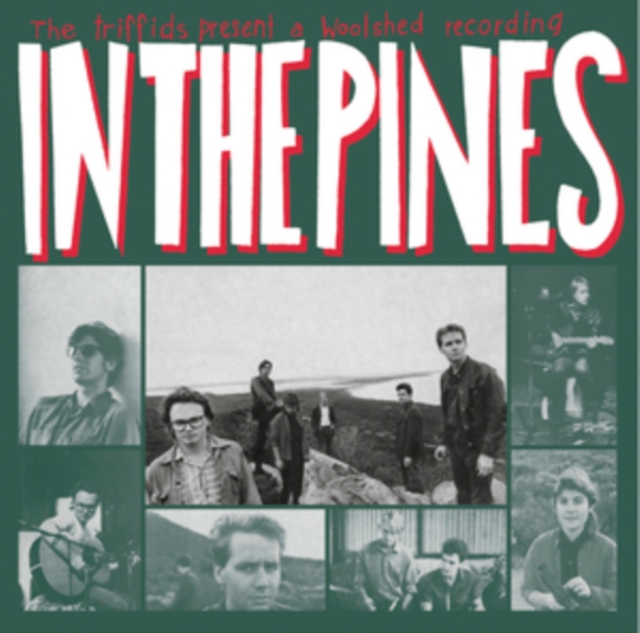 In the Pines, Vinyl / 12" Album Coloured Vinyl (Limited Edition) Vinyl