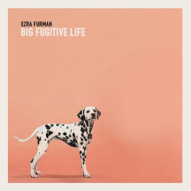 Big Fugitive Life, Vinyl / 10" EP Vinyl