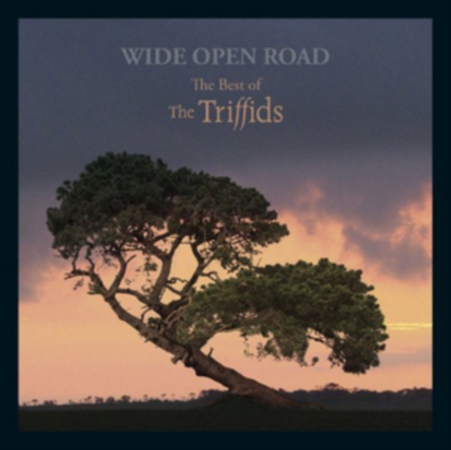 Wide Open Road: The Best of the Triffids, CD / Album Cd