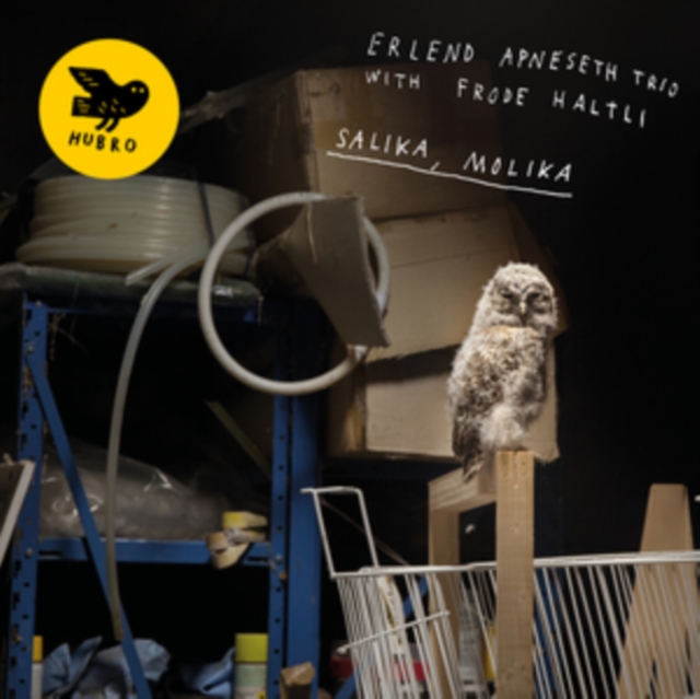 Salika, Molika, CD / Album Cd