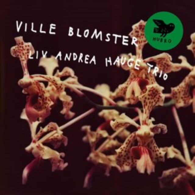Ville Blomster, CD / Album Cd