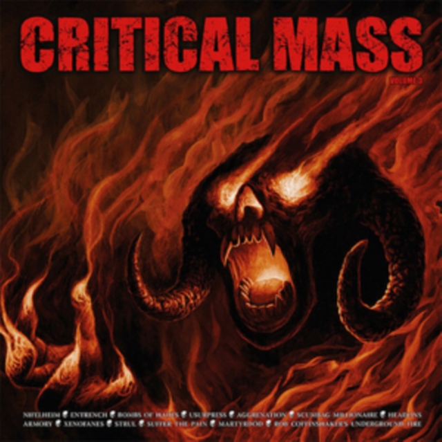 Critical Mass, Vinyl / 12" Album Vinyl